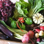 Batch of produce from Red Wiggler Community Farm.