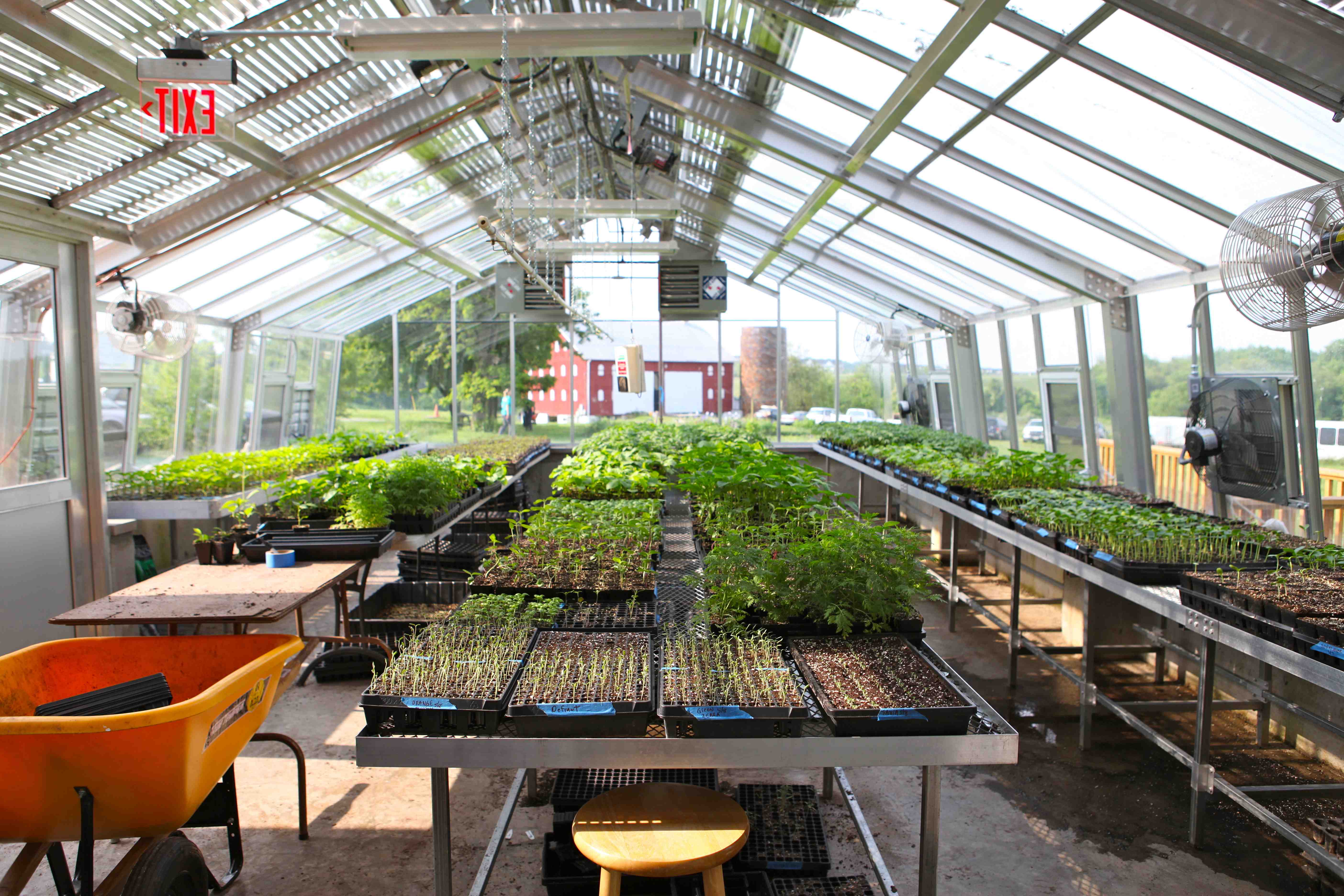 Greenhouse small