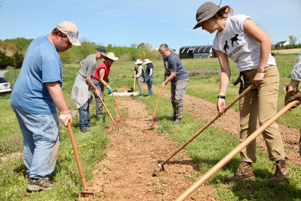 Liza (right) out in the fields with Staff and Growers, working hard