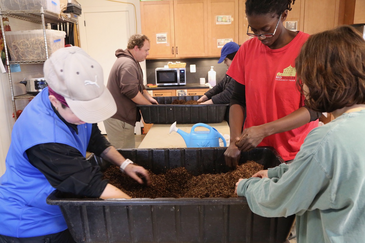 Preparing soil for seeding by breaking up clumps of soil and adding water to condition it