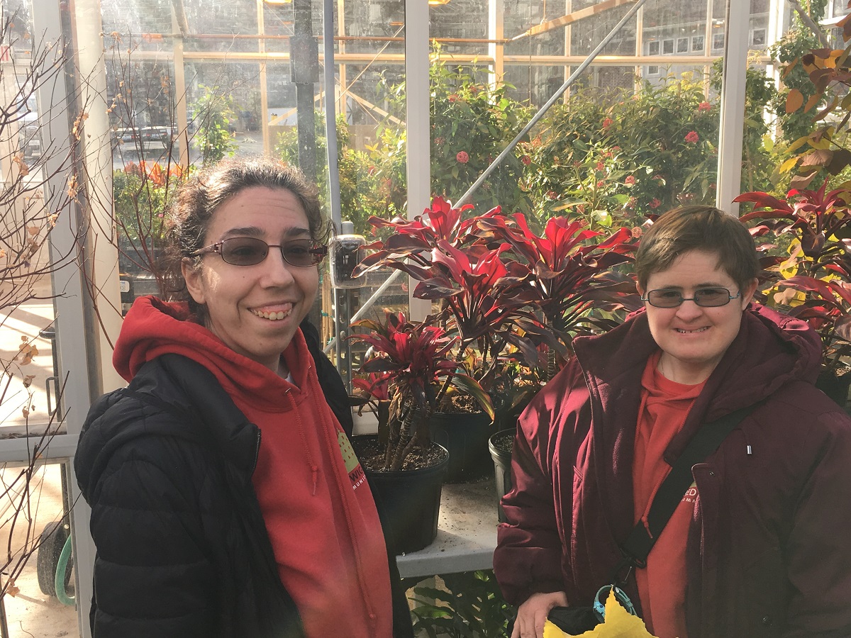 Brookside Gardens greenhouse in Wheaton, MD