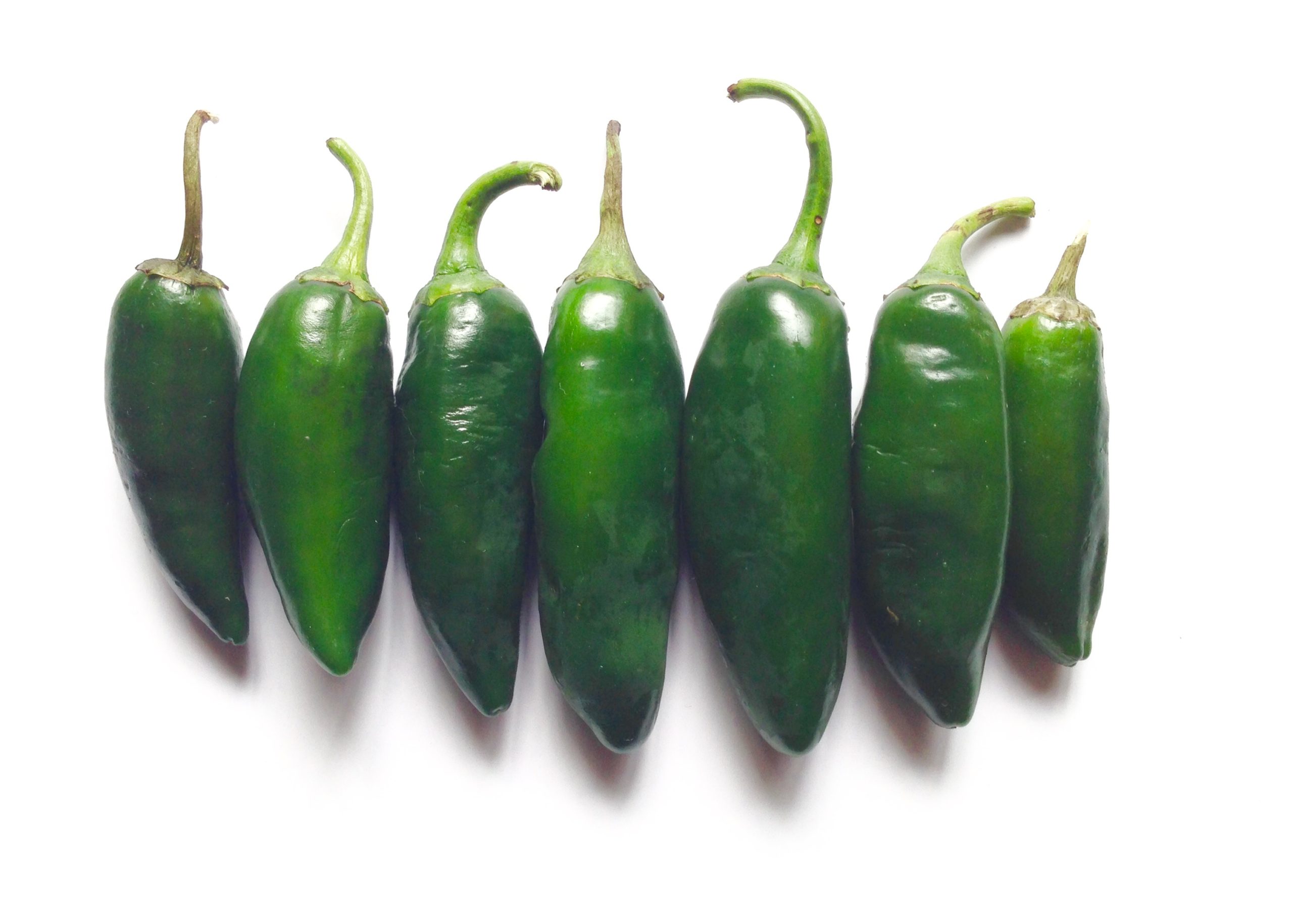 Photo: Jalapeno peppers.