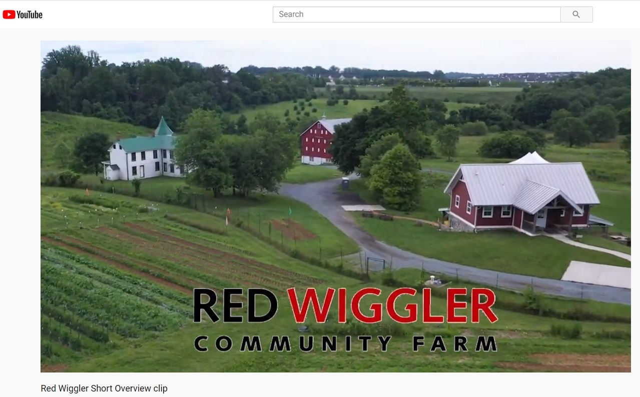 download live red wigglers