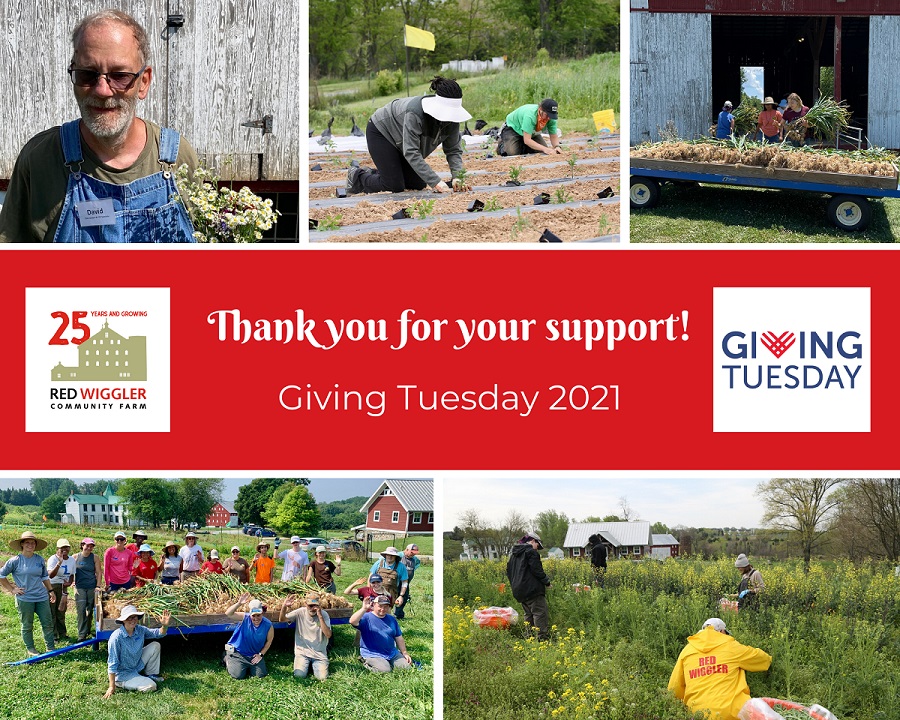Giving Tuesday 2021 - Thank you for your support!