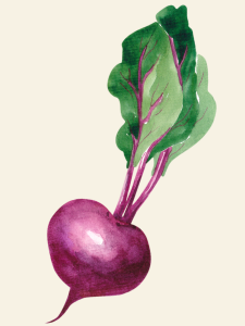 click on this image of beets to find a list of beets recipes
