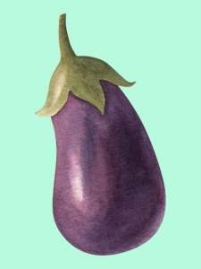 click on this image of eggplant to find a list of eggplant recipes