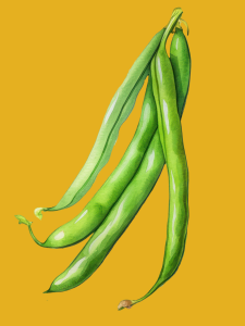 click on this image of green beans to find a list of beans & peas recipes