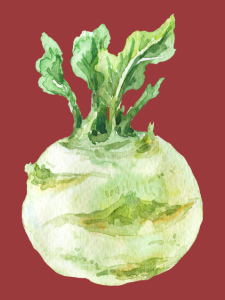 click on this image of kohlrabi to find a list of kohlrabi recipes