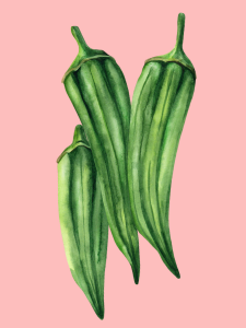 click on this image of okra to find a list of okra recipes