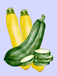 click on this image of summer squash to find a list of summer squash recipes