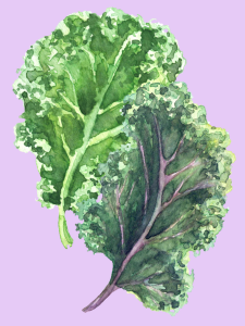 click on this image of greens to find a list of greens recipes