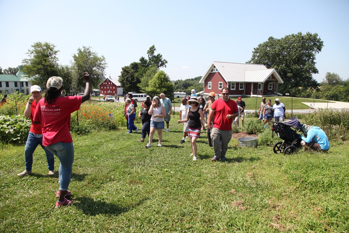 Students taking part in a Red Wiggler Care Farm education visit
