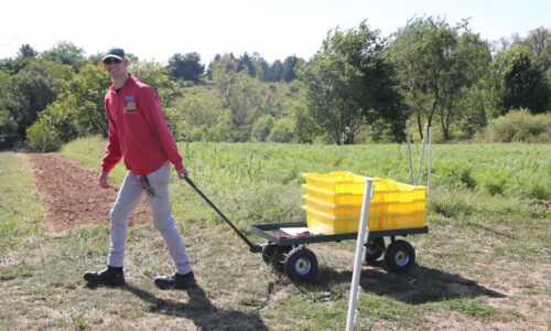 Favorites - 73 of 109